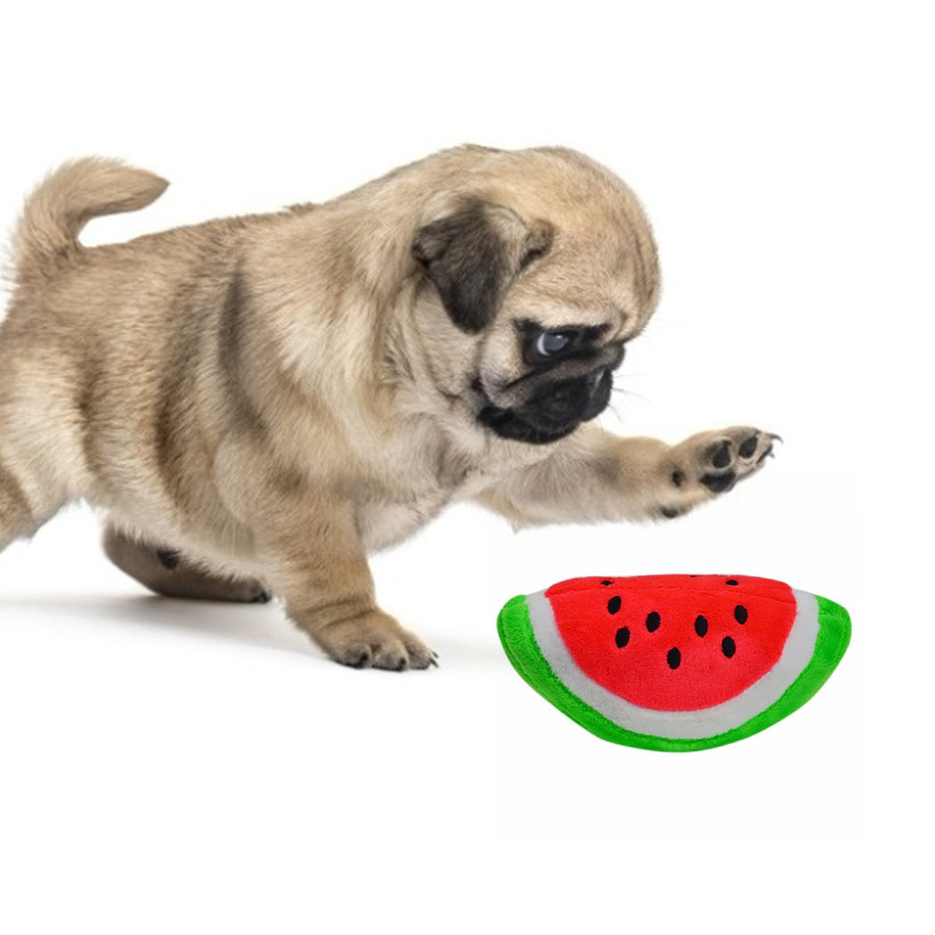 Plush Squeaky Dog Toy"