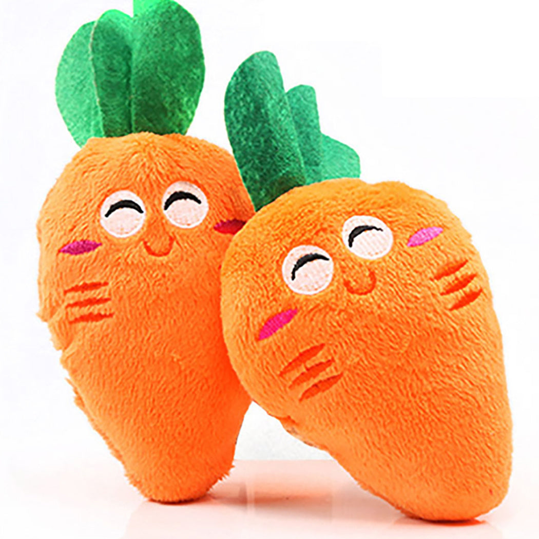 Plush Squeaky Dog Toy"