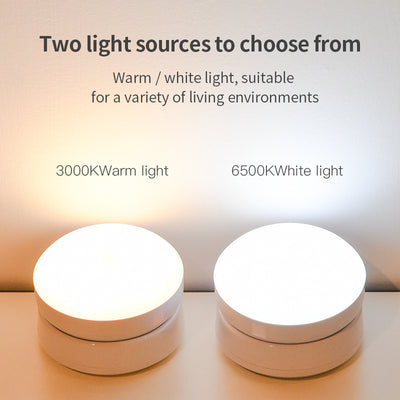 Body Sensor Light