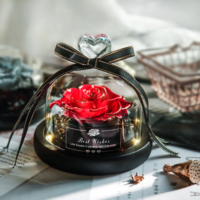 Valentine's Day Christmas Dried Flowers For Home Decor Wedding Gifts