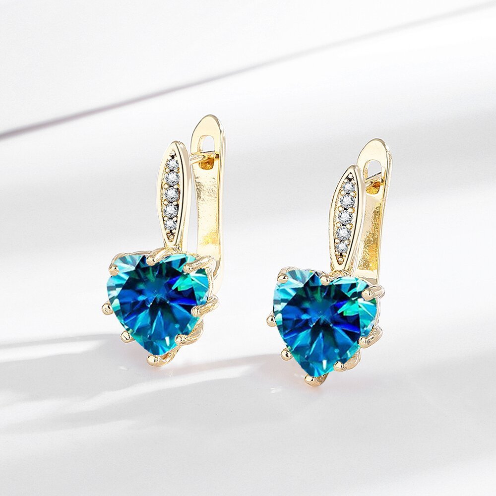 Fashion Earrings