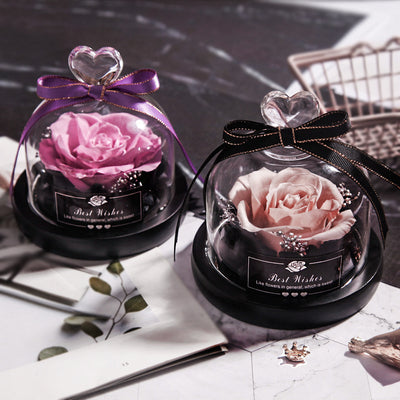 Valentine's Day Christmas Dried Flowers For Home Decor Wedding Gifts