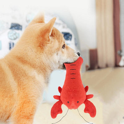 Plush Squeaky Dog Toy"